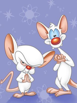 Pinky and the Brain