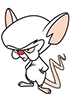 pinkyBrain