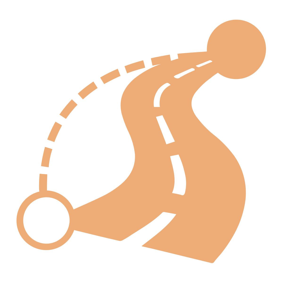 siteIcon
